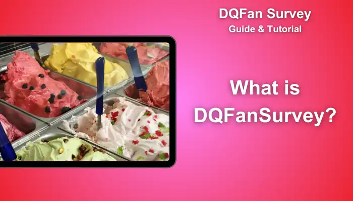 What is DQFanSurvey What is DQFanSurvey